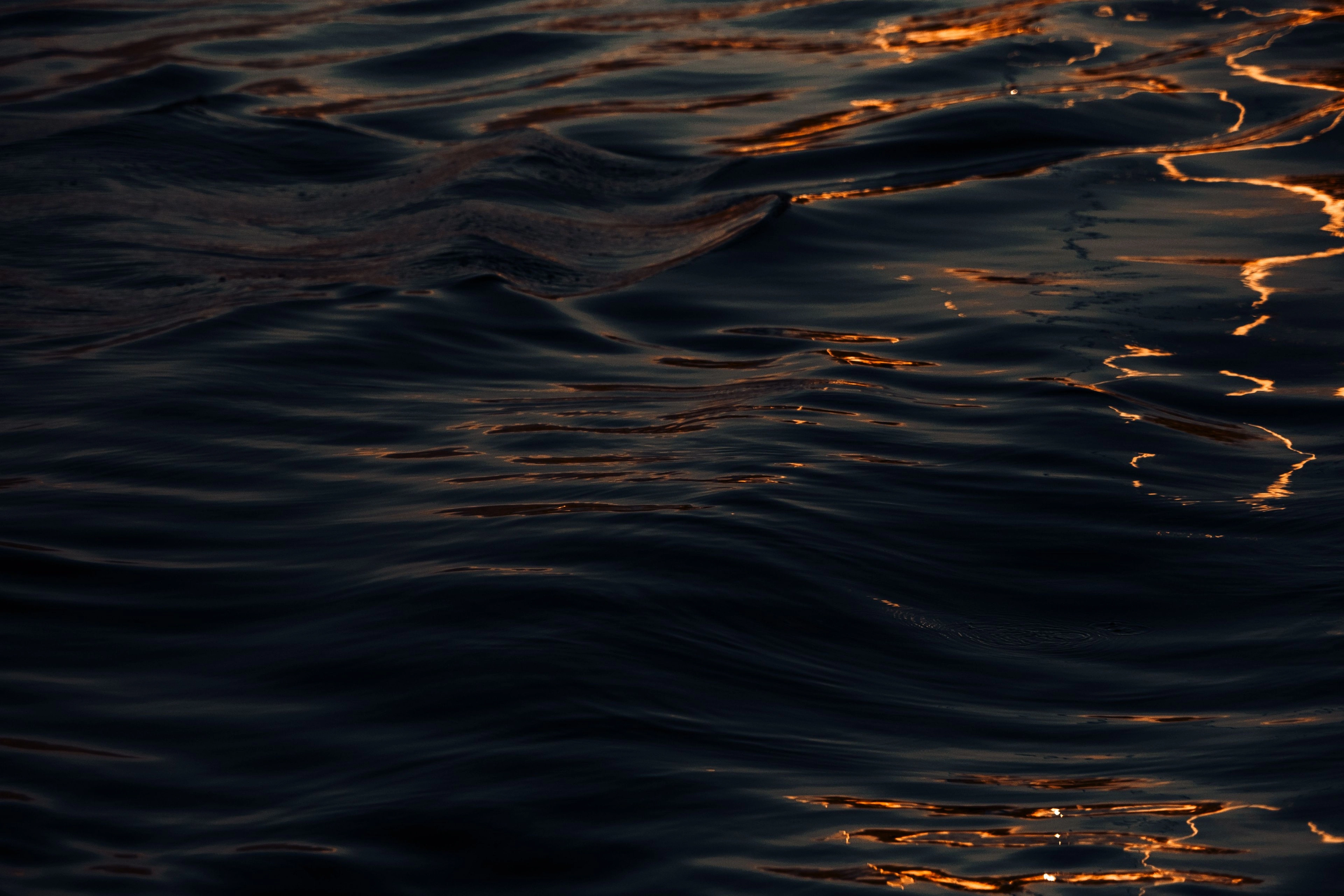 Warm gold light rippling across dark, still water.