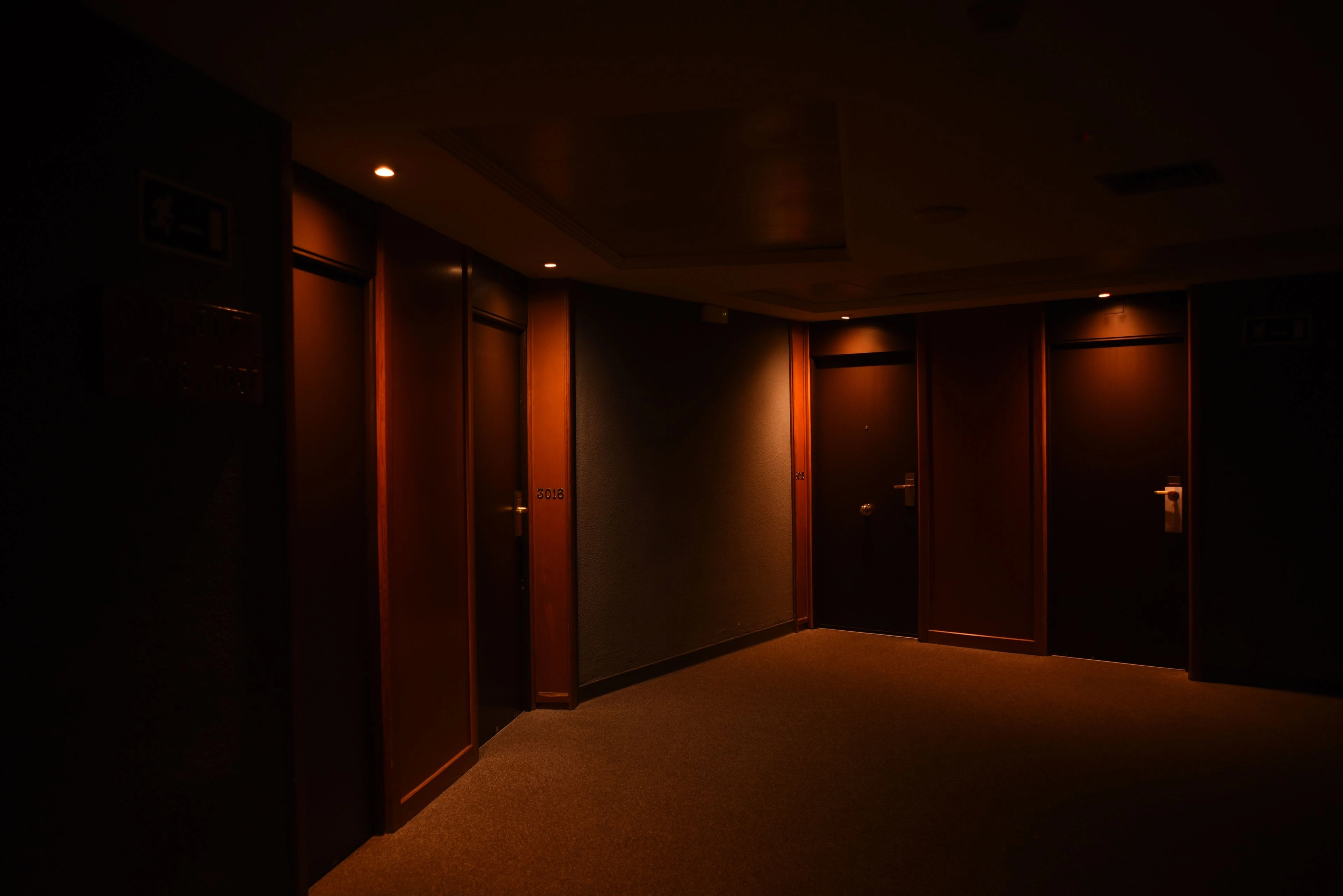 A long dim corridor lit low, doors receding into shadow.
