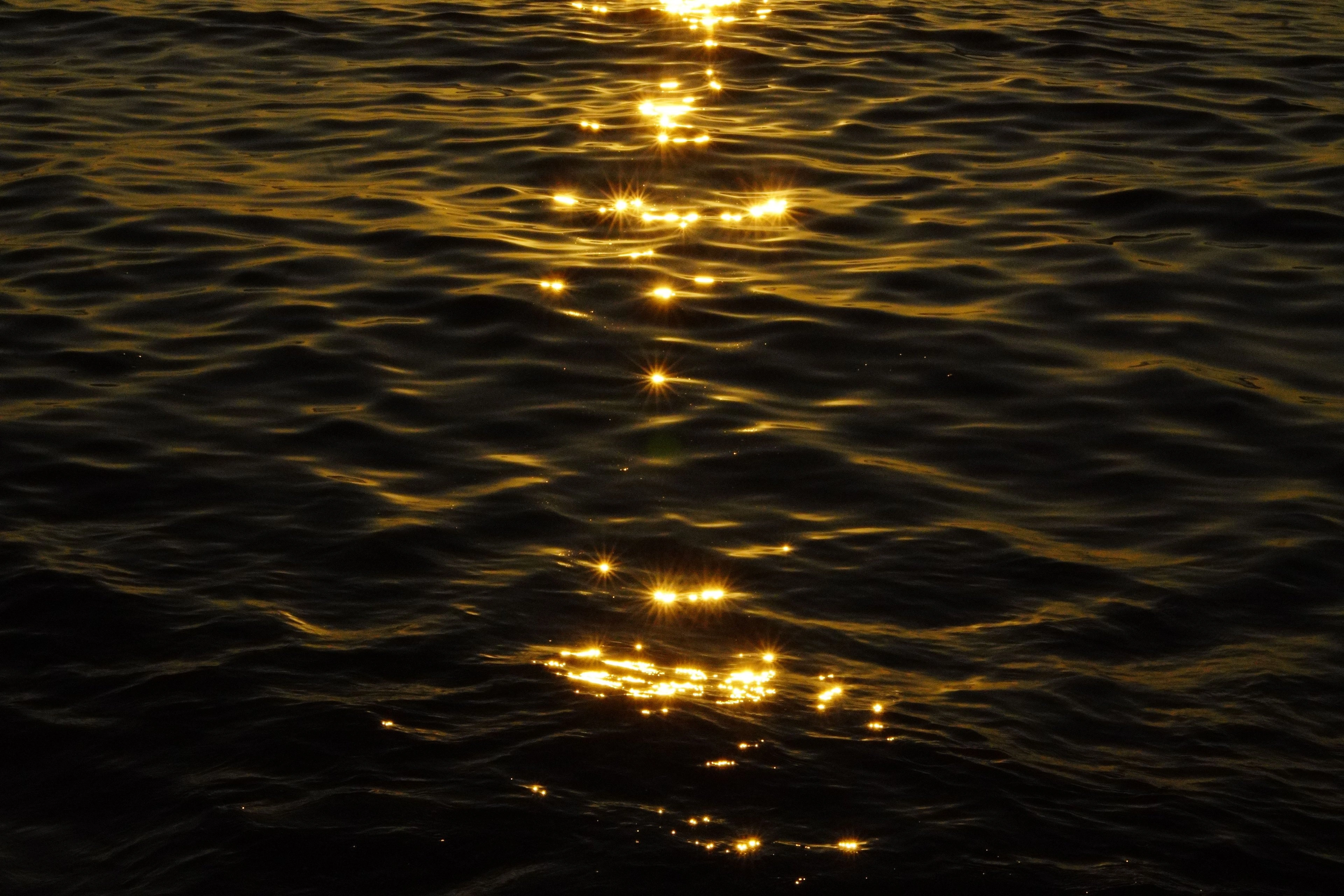 Warm gold light scattered across dark, rippling water.