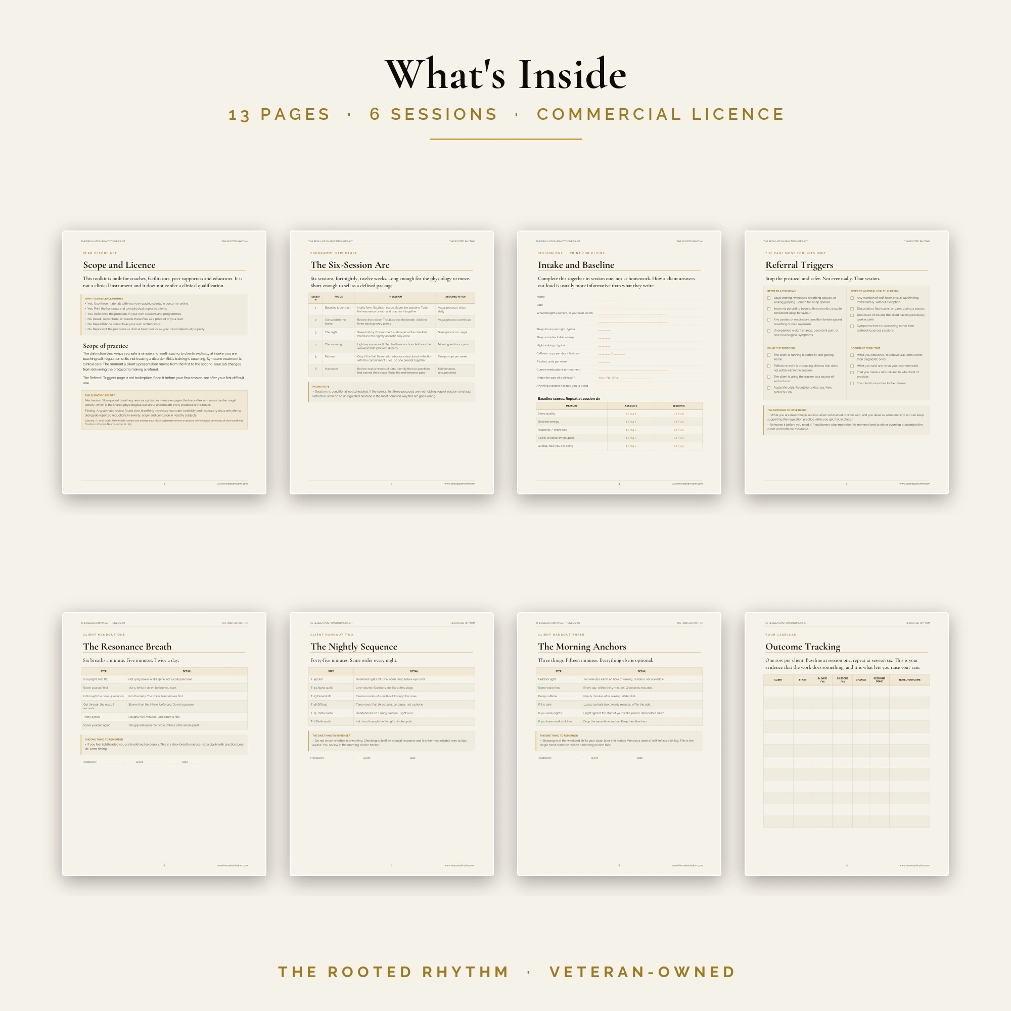 Inside The Regulation Practitioner's Kit, a grid of real interior pages