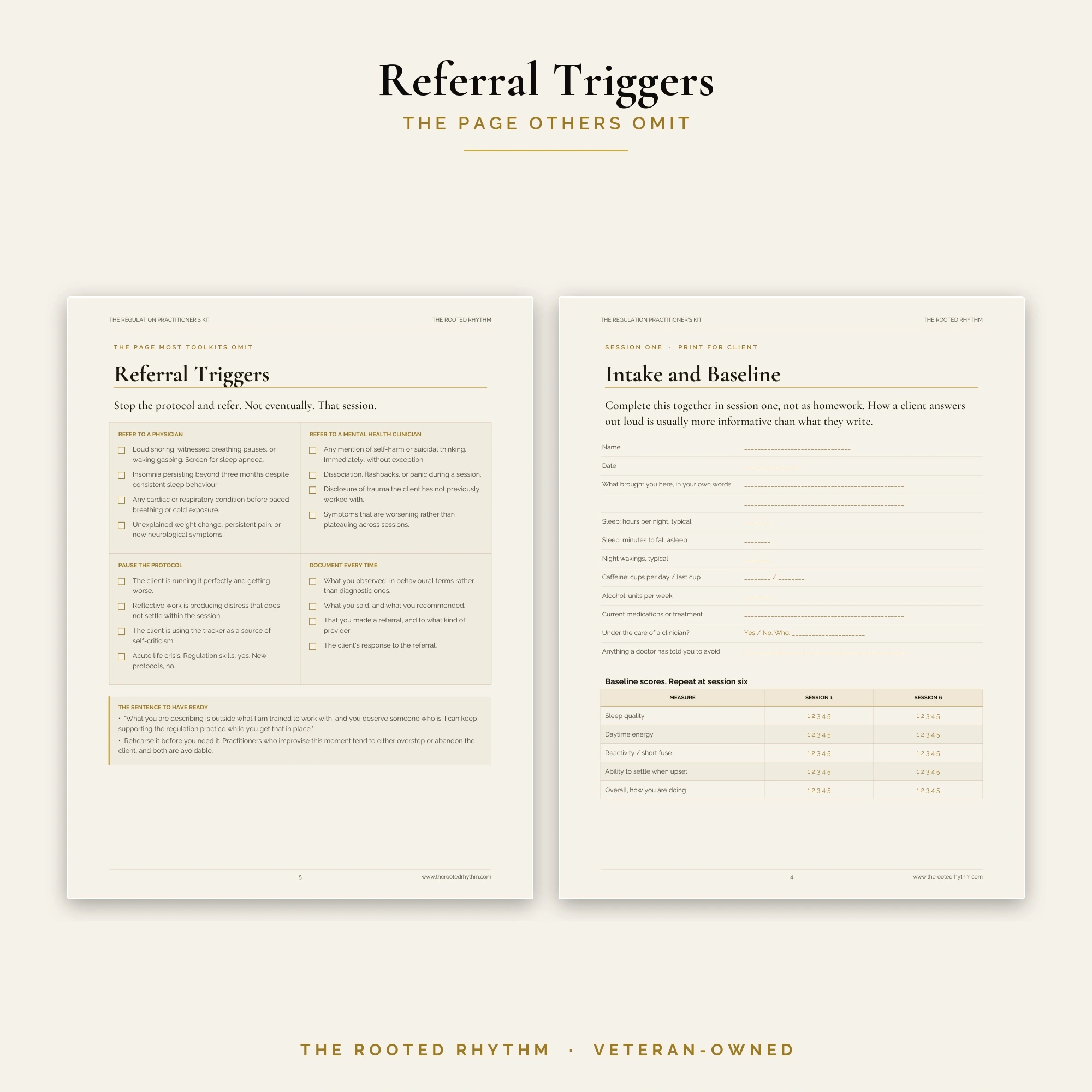 Close-up of a two page spread from The Regulation Practitioner's Kit