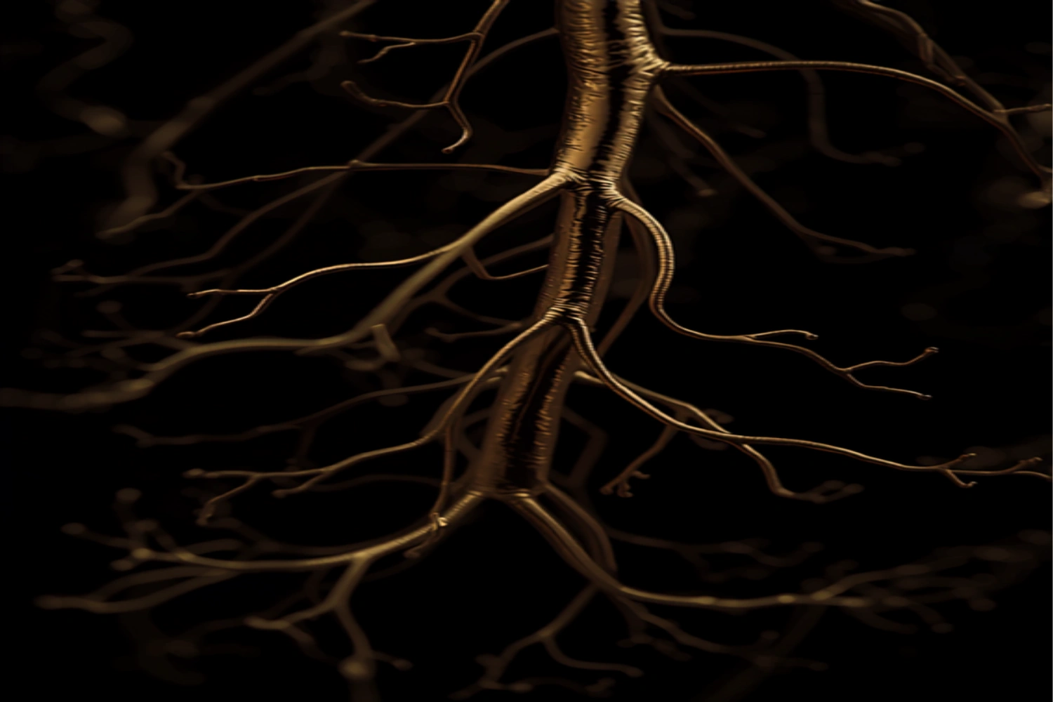 A close-up anatomical illustration of the vagus nerve pathway carved into aged brass, warm gold light catching the branching filaments against a deep obsidian background.
