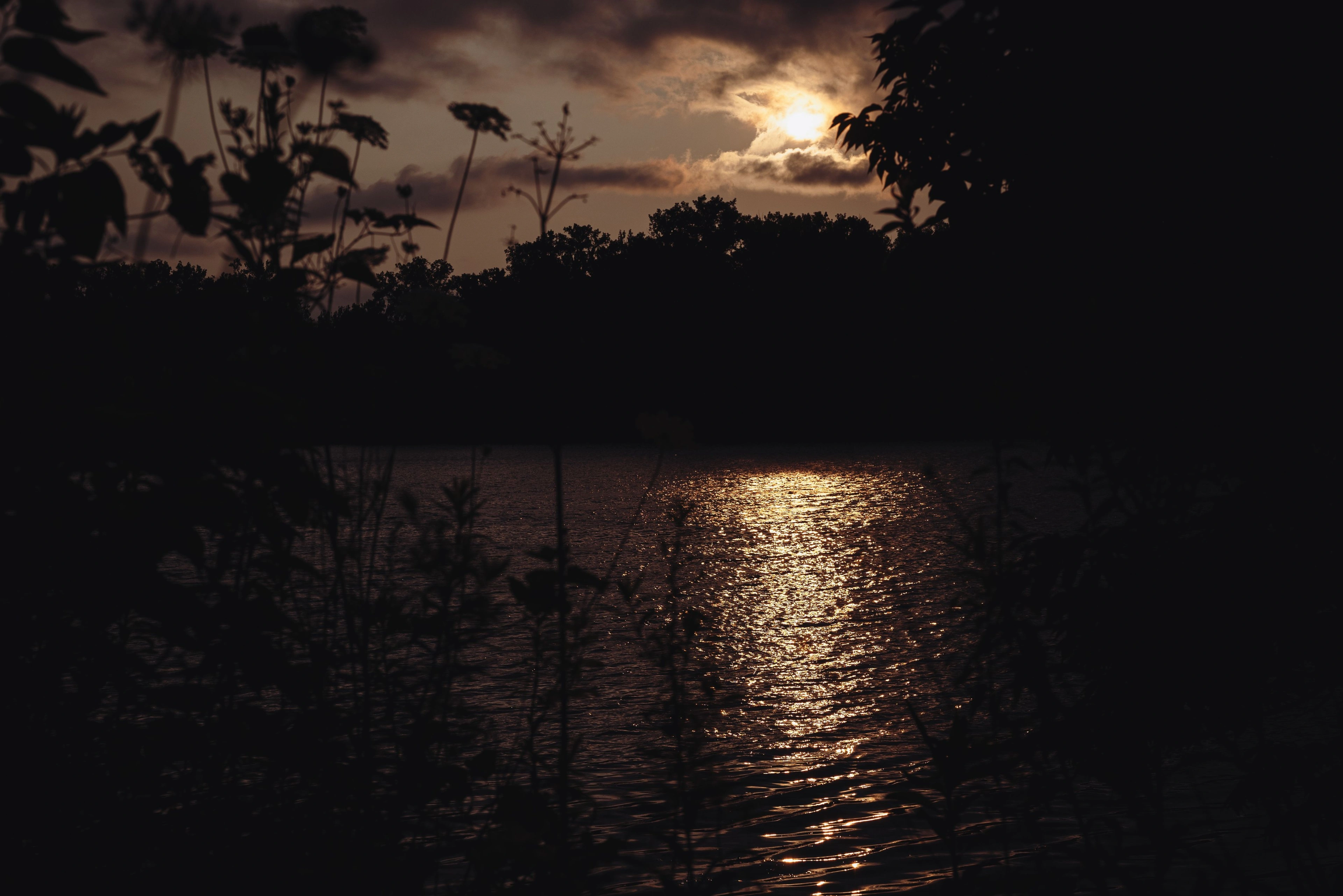 Moonlight reflected on calm water at dusk.